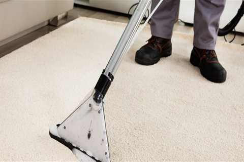 What Are the Benefits of Hiring a Professional Carpet Cleaner?