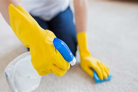 Eco-Friendly Carpet Cleaning Solutions