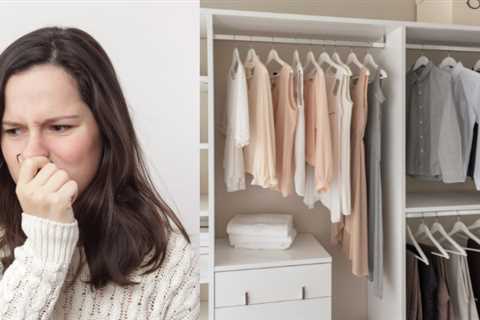 How To Remove Mold Smell From A Closet: Steps To Prevent And Eliminate Musty Odors From Your..