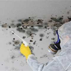 How Much Is Mold Inspection