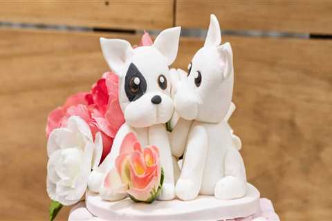 Custom Cake Orders from Denver, Colorado Bakeries - The Best 10 Options