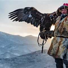 The diet and care of hunting eagles - Discover Altai