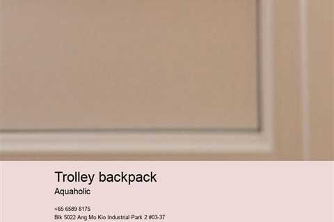 trolley backpack