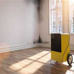 Breathe Easier: The Role of HVAC in Indoor Air Quality