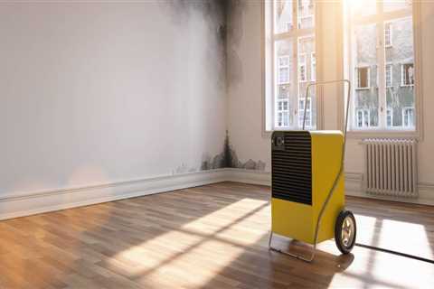 Breathe Easier: The Role of HVAC in Indoor Air Quality