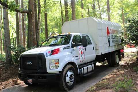 jswoodpecker.com tree service